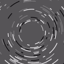 338