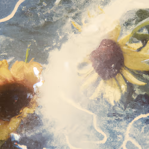 Tsunflower Chaos