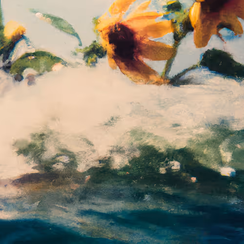 Tsunflower Chaos