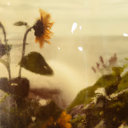 Tsunflower Chaos #248