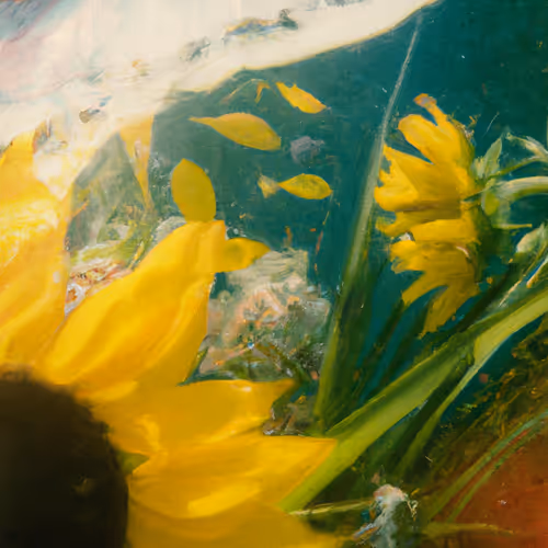 Tsunflower Chaos #195