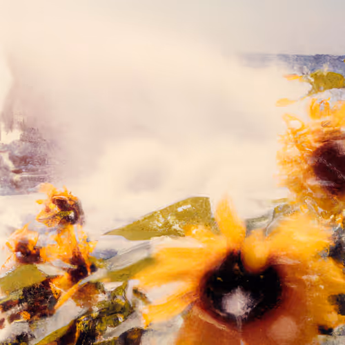 Tsunflower Chaos