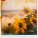 Tsunflower Chaos #212