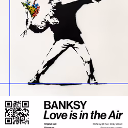 Banksy | Love Is In The Air #9008