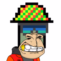 251