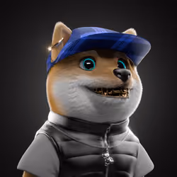 Baby Shiba #3159