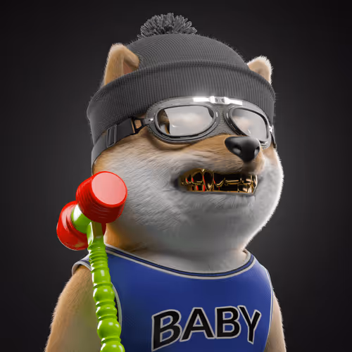 Baby Shiba #2503