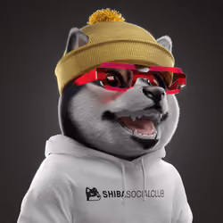 Baby Shiba #5773