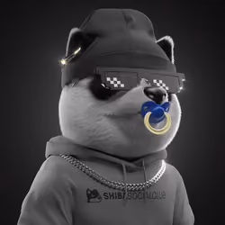 Baby Shiba #5128