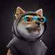 2871