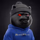 4253