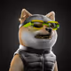 8098