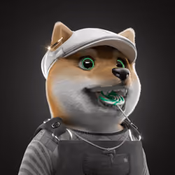 Baby Shiba #3775