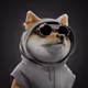 5284