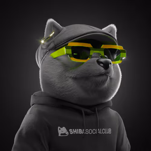 Baby Shiba #2584