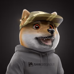 Baby Shiba #6694