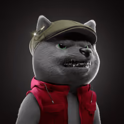 Baby Shiba #6084