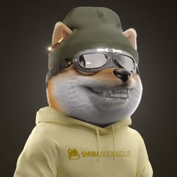 Baby Shiba #5456