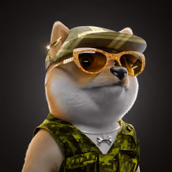 Baby Shiba #4953