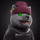 920
