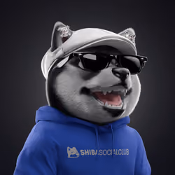Baby Shiba #4554