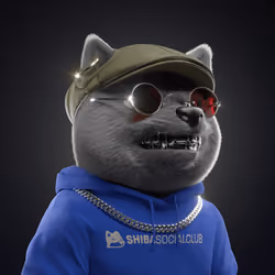 Baby Shiba #6692