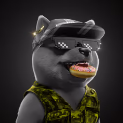 Baby Shiba #2822
