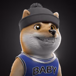 Baby Shiba #5507
