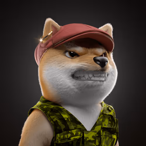 Baby Shiba #2381