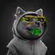 6078