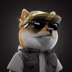 Baby Shiba #5648