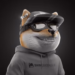 Baby Shiba #1594