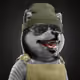 87