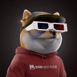 Baby Shiba #8147
