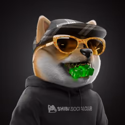 Baby Shiba #7559