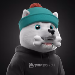 Baby Shiba #65