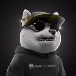 Baby Shiba #3304