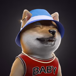 Baby Shiba #8148