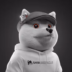 Baby Shiba #8817