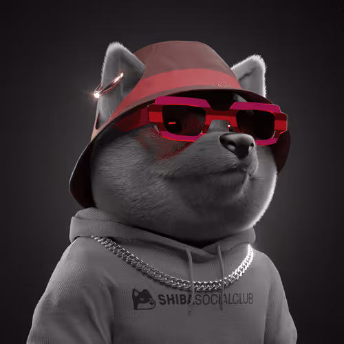Baby Shiba #2785