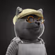 271