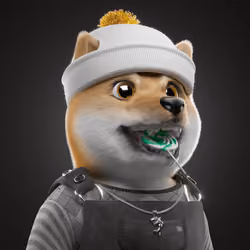 Baby Shiba #3431