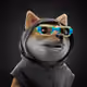 1207