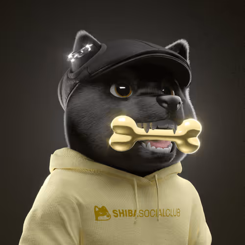 Baby Shiba #8007