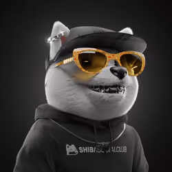 Baby Shiba #2186