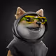 2289