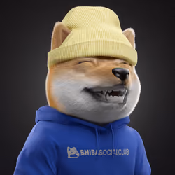 Baby Shiba #6164