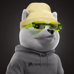 Baby Shiba #6529