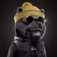 710