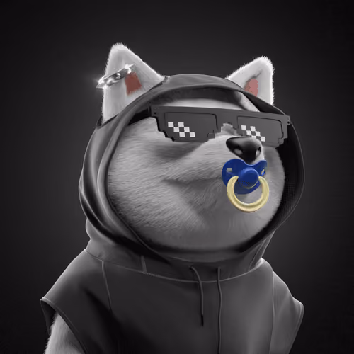 Baby Shiba #5476